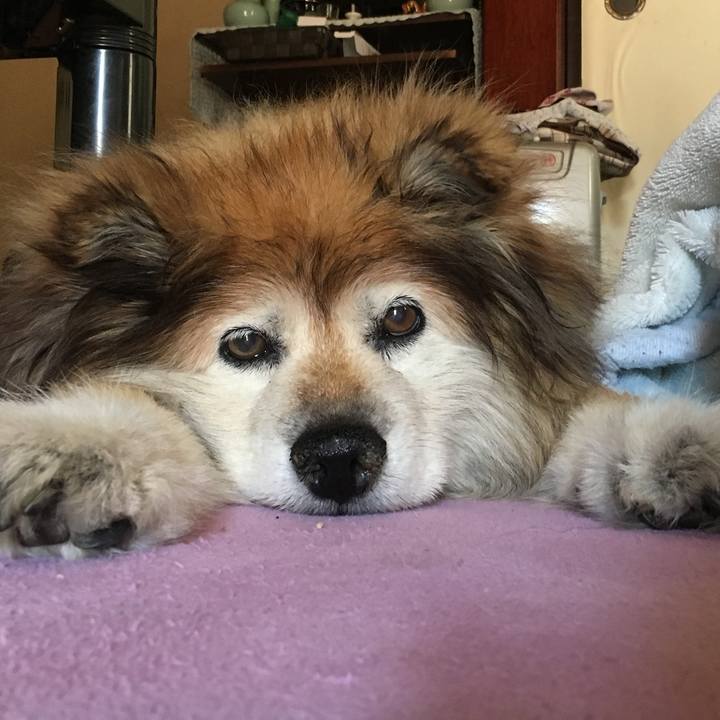 D8061bf9 2cfb 4c7b bc22 946bf5aba8d5 1623094884427