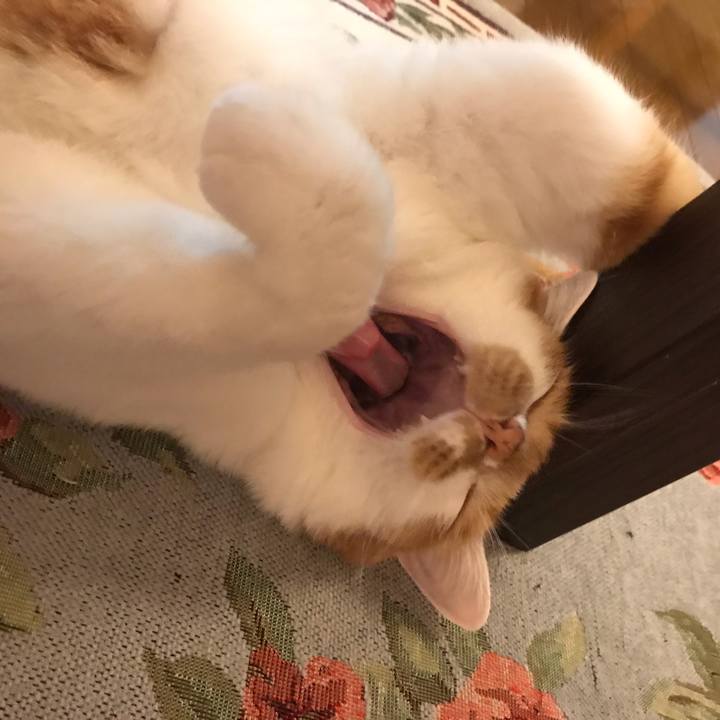 D8062284 6804 4816 9b99 ac504bc32e21 1564747942880