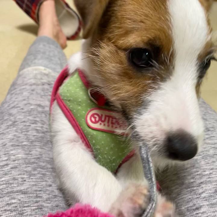 D8063303 fcf5 4c5d 9173 2a769039538f 1613595542133