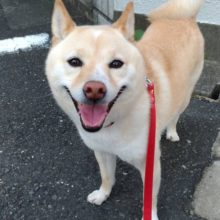 D80663df df76 47a3 ba10 8db5a39015c4 1593162003501