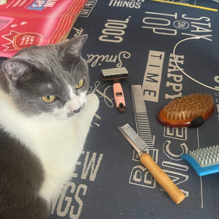 D8066acb e228 4c56 88ed 24b59a0b6915 1723341125593