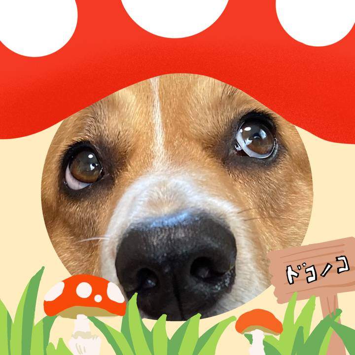 D806725f f5be 441b bb4e 2ab2f9587695 1729210758332