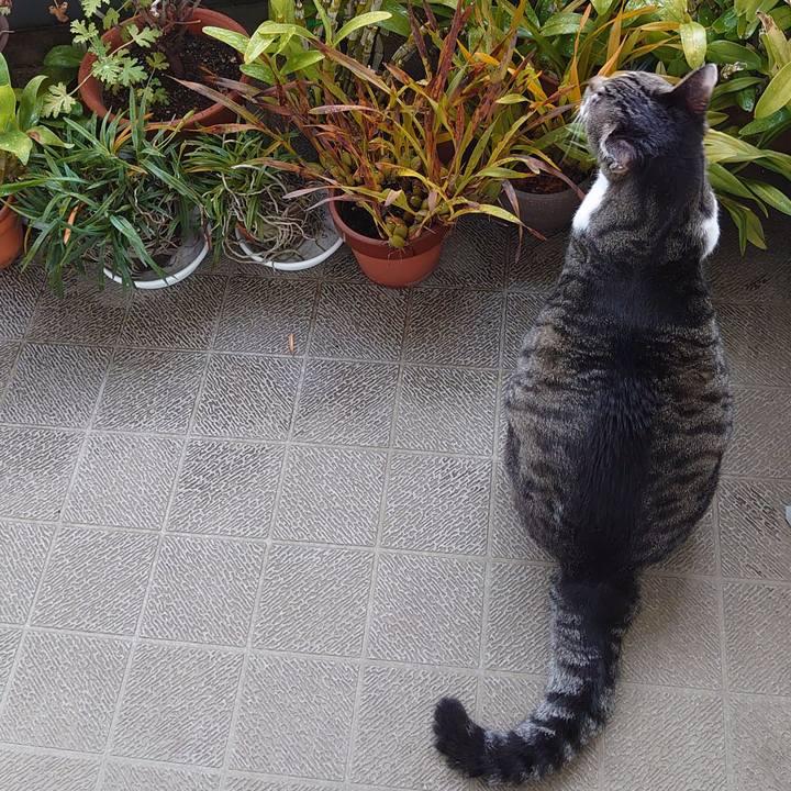 D8068353 f032 4369 ab17 2020b84db81c 1723772574133