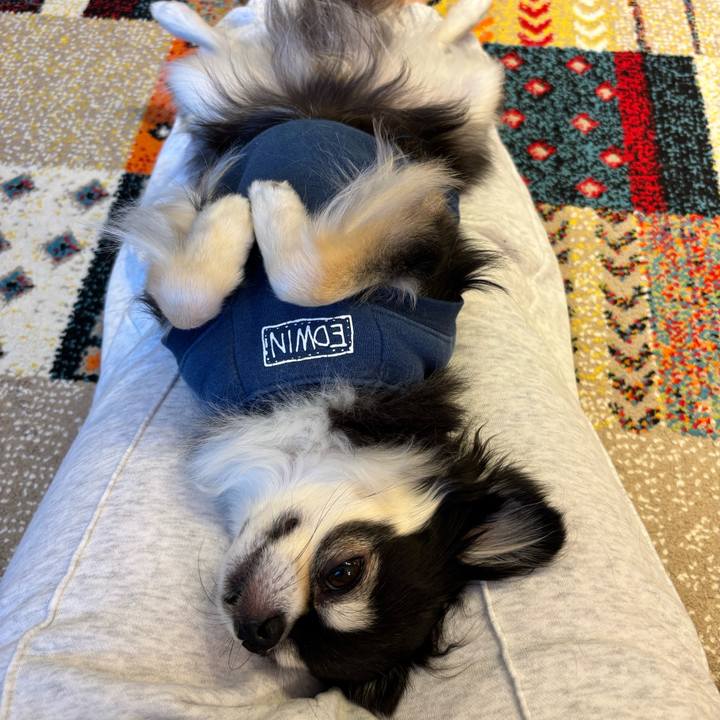 D8068869 5d65 4845 b8ae ad0420c62234 1732983564162