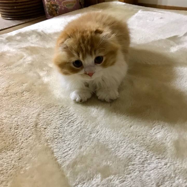 D806bdd7 397d 41a2 afdc 0314037634de 1518449045862