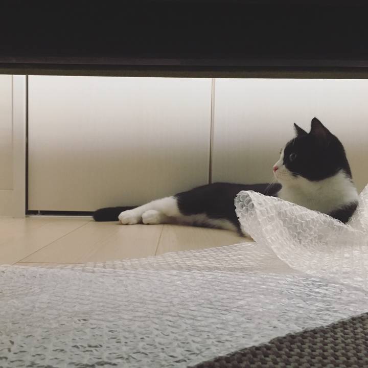 D806d51a fad9 4107 869d dc48f5fffda9 1531830743245