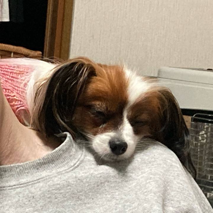 D8073850 1530 499b a9a0 89af734bc8cb 1637145491716