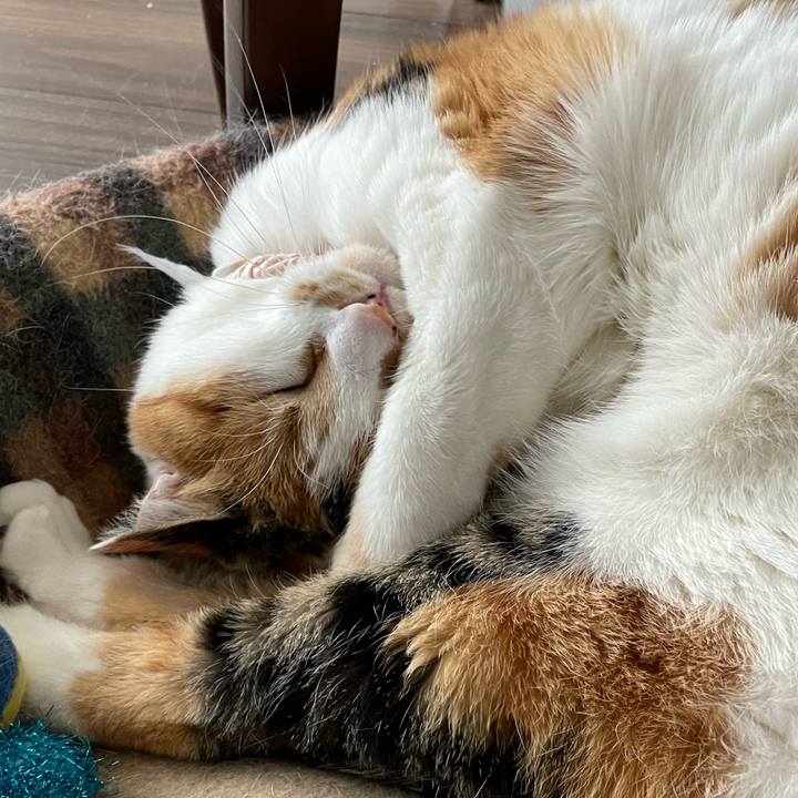 D8074038 5e10 4508 9130 65b4f36f05c0 1648007570121