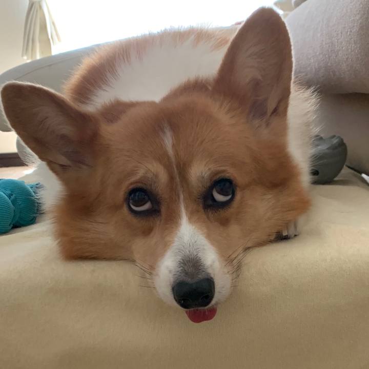 D80758aa 0719 49bd 919e 4e9c04835473 1597118508908