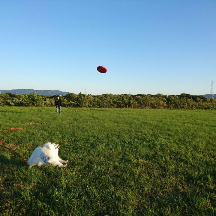 D8079416 74ff 4585 a671 1fe16ef431c5 1602404108359