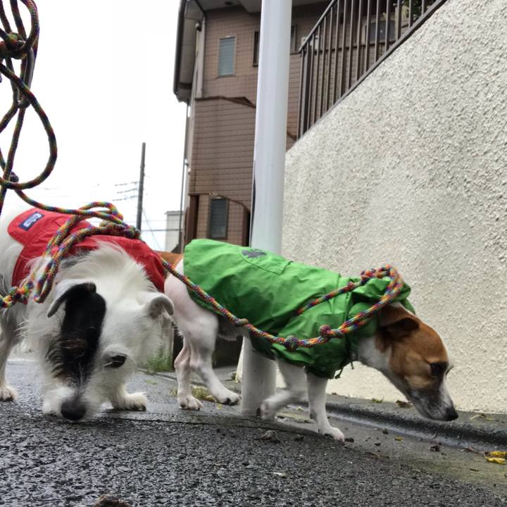 D807c450 75f0 47e7 bb05 6f8c179c90f6 1537485960255