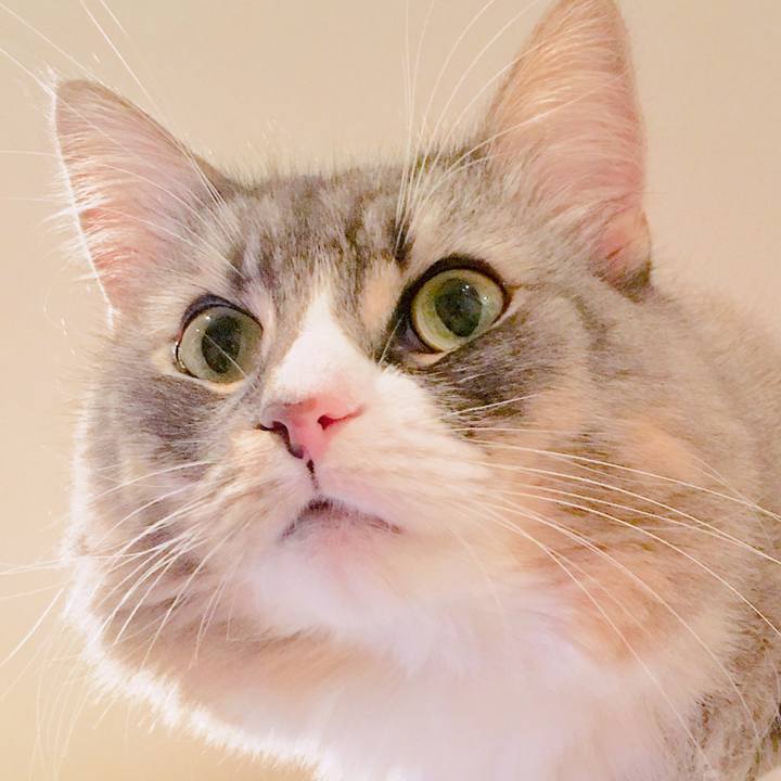 D807c45c 63f8 4427 945d 4bd61dbaf63d 1541789787964