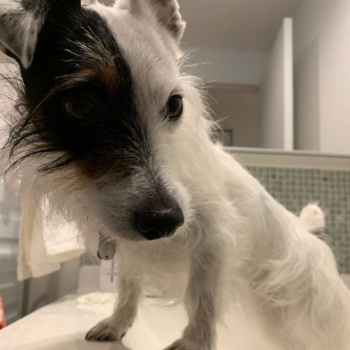 D807c5eb 5ca2 4d38 90b6 30b2dda9c943 1585642907850