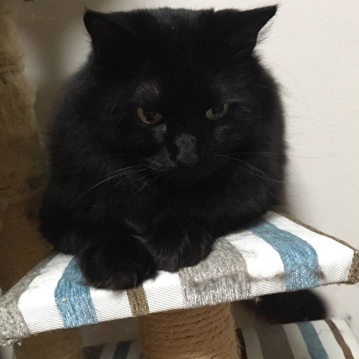 D807eff9 7203 4c83 869f a6d457516f93 1530461183025