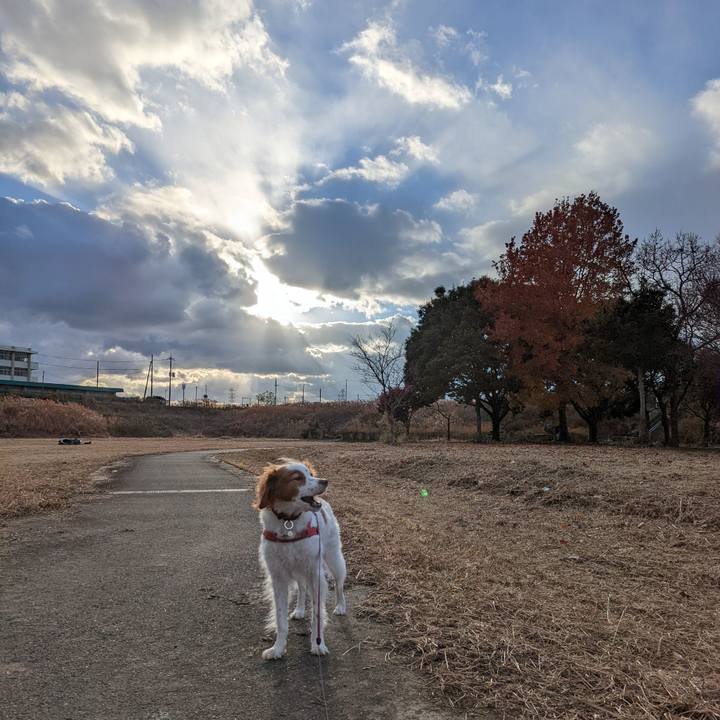 D8087628 4d65 47b4 ade7 7ff589aad1cc 1640591238281