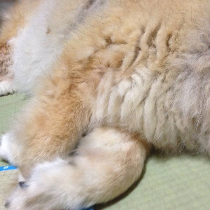 D808a23c 703d 4d50 b3f1 f349f791e4dc 1609888715710