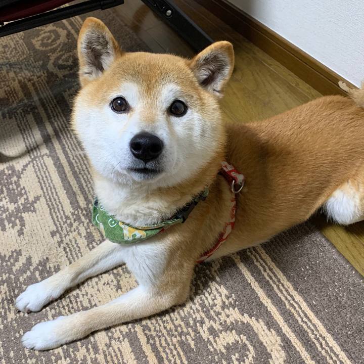 D808a4f9 0078 4ba0 a6f1 4a25eaae6e40 1590488432484