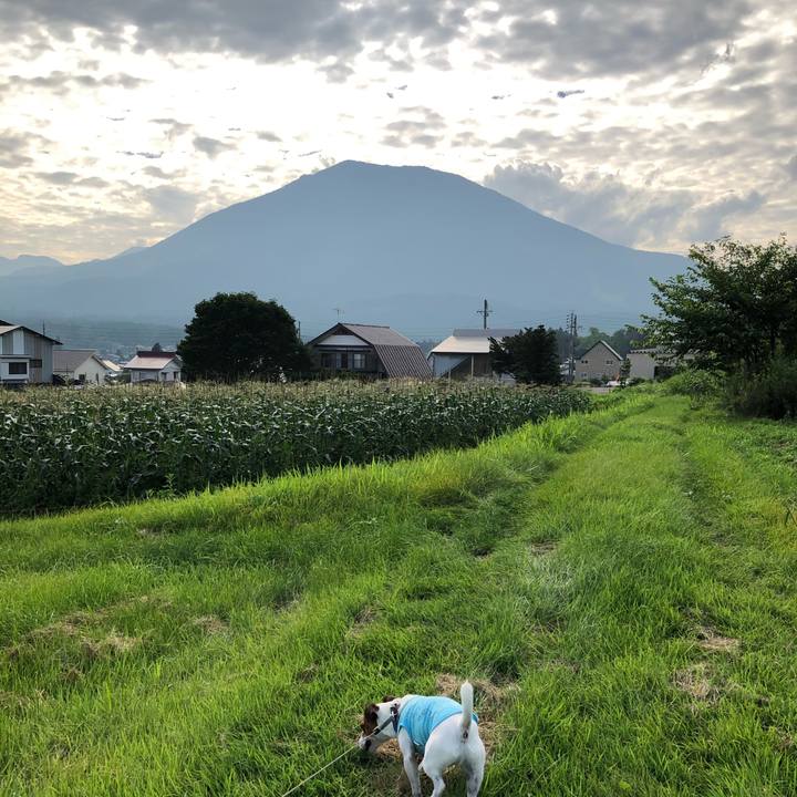 D808f378 2577 42cc 869c 1187d2ed1a59 1597054958766