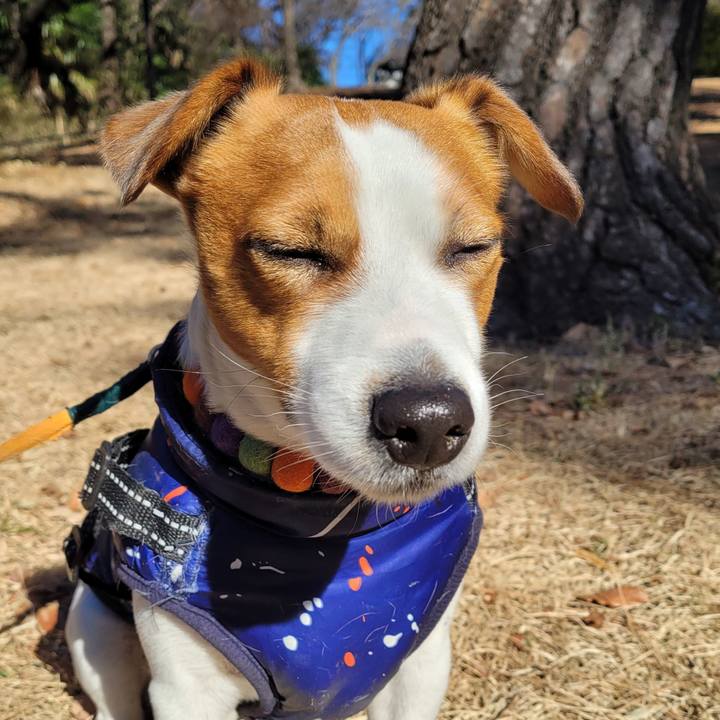 D809095f 77b8 4303 86a3 3d7fe155ecac 1706398198931