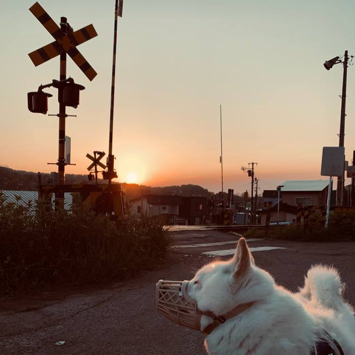 D80949f9 7b12 4028 9b06 880140b39ce0 1652818545901