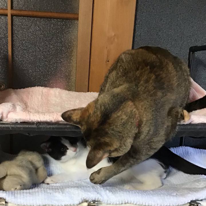 D8094bde 7743 4680 af3c 07d8f2da8ecc 1627804159740