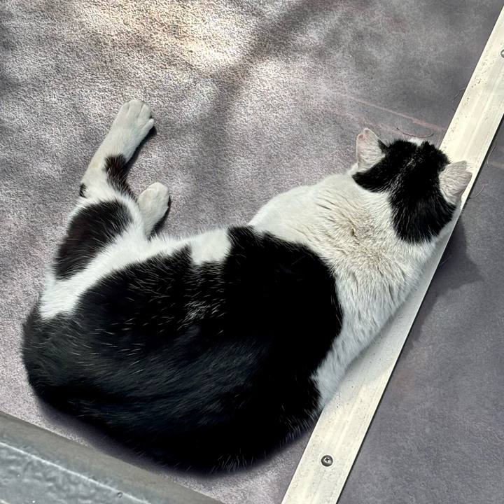 D8096a6c c692 46f5 bc6c 62b92e14121a 1774177642458