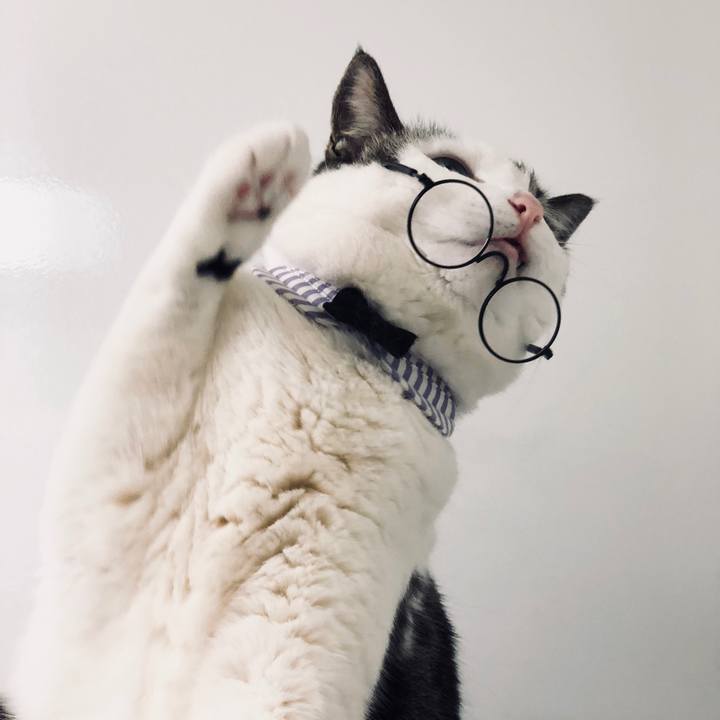 D80975fa 37ea 473d 9180 ed2876e20324 1531015034252