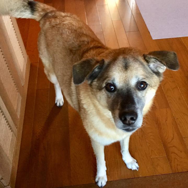 D809a4c9 c3bb 41fa bc50 7d2091608678 1573130841841