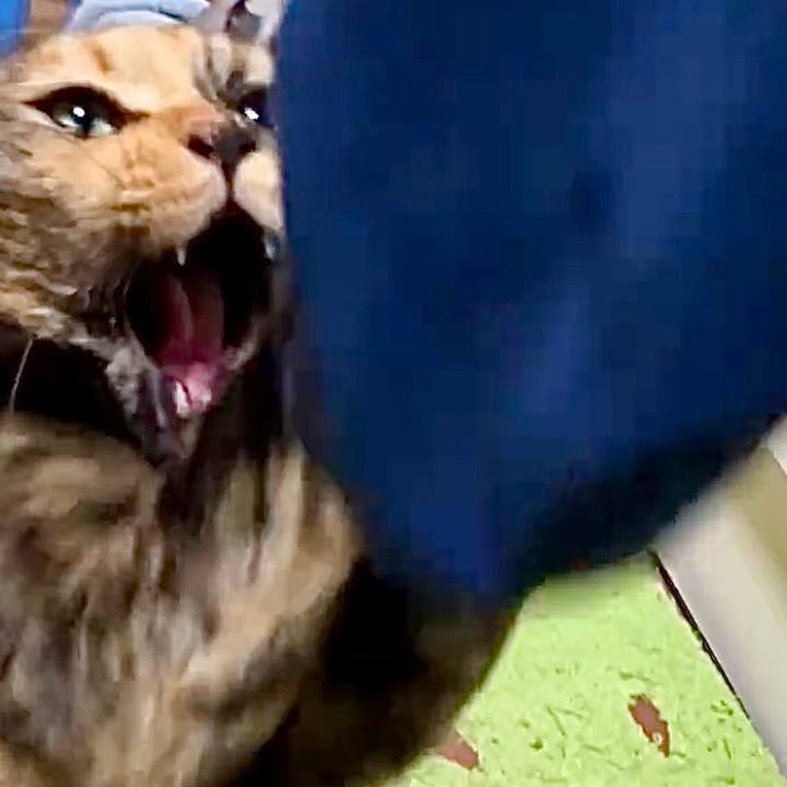 D809a7b5 8892 4353 99bb d03599afd21f 1732565043199