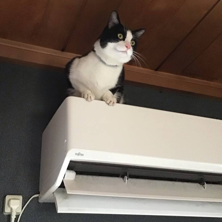 D809a944 1f62 4368 aa2a 67e13fed4891 1707478993757