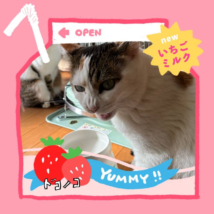 D809b8b0 3b00 453f 93b2 e80f75b27dd2 1711085750730