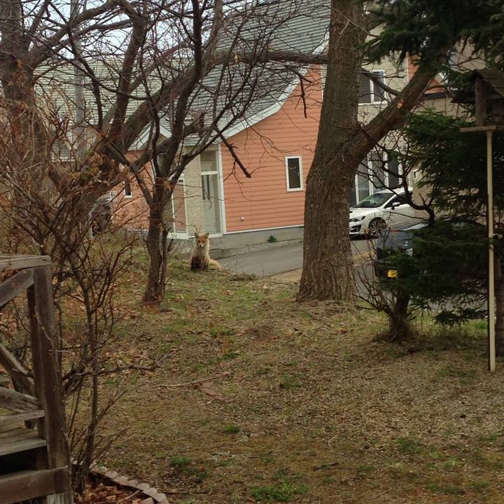 D809d3b4 fb41 4a00 977a 1eef7b2e06e9 1556835573407