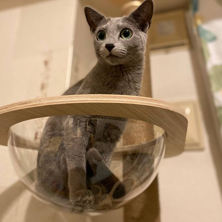 D809d4e0 2daf 48e2 a93a 1a285cda8061 1644880765855