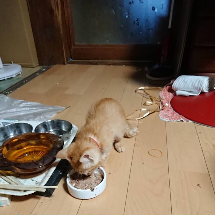 D809d97d 460c 4902 9604 11517420b83e 1629751081202