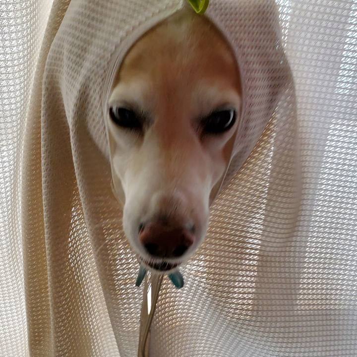 D80a04c1 7278 4d07 b822 ff10ee2a5a04 1623724211414