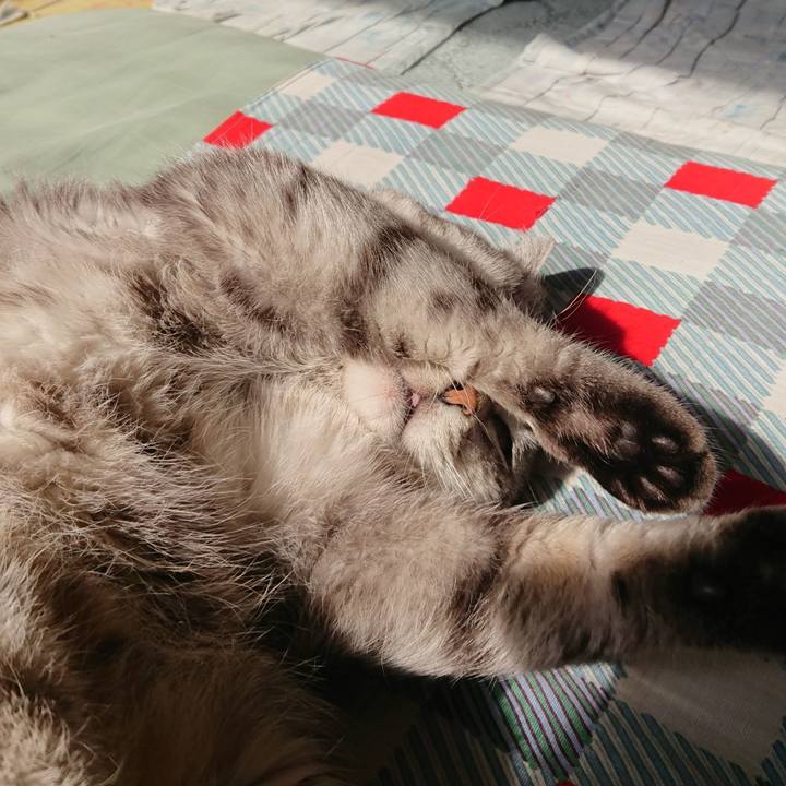 D80a3946 5da2 4ccd b1d5 26095f4b4641 1522457347851