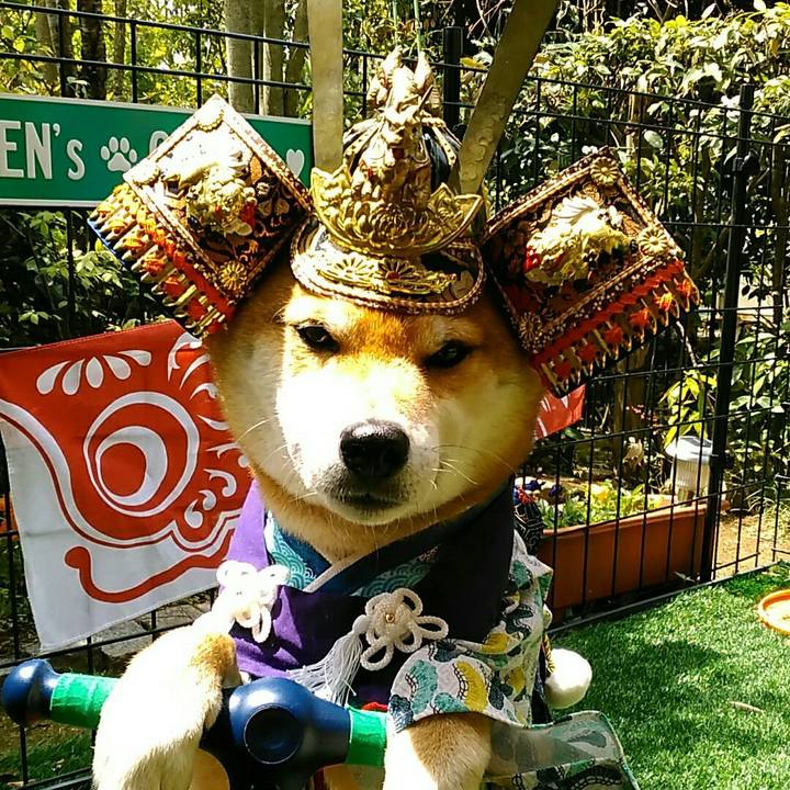 D80a57e7 02c6 49f8 be4e 340004859b7f 1557009177369