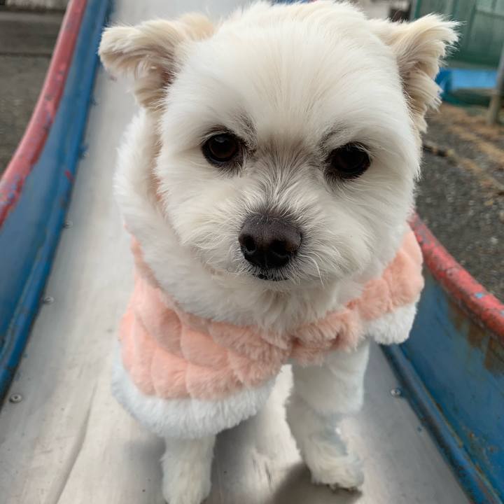 D80a6fac 0919 481b b3be 828e5b9fcb2a 1645594643995