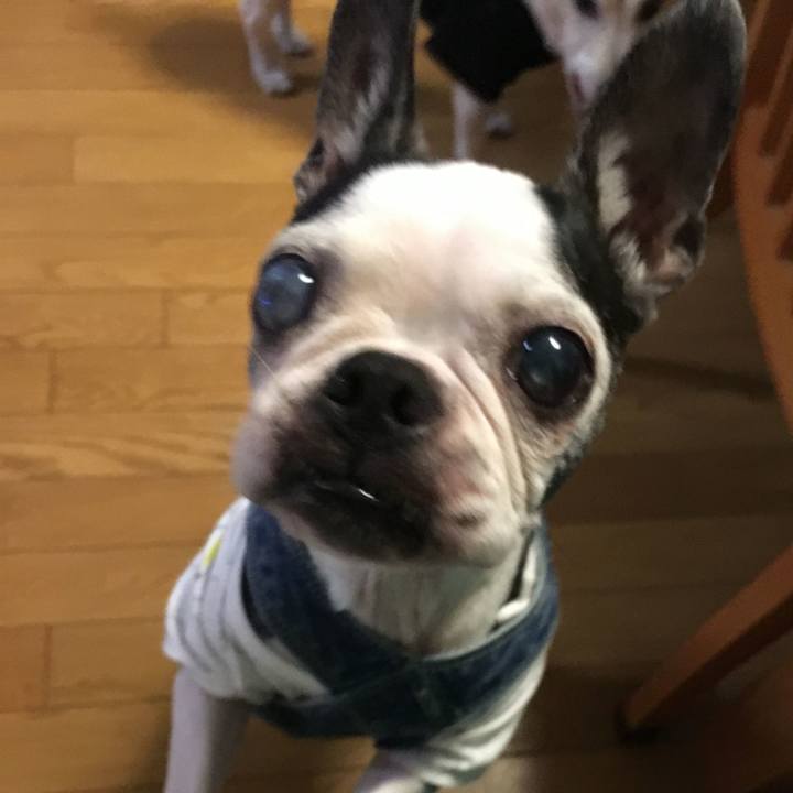 D80a8063 8a3d 4b79 a8ae 0c9f9a0dbc24 1764581791545