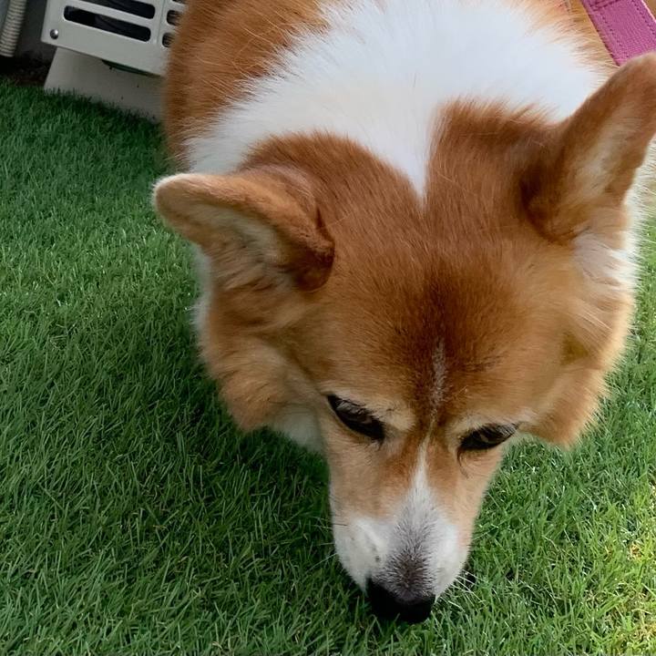 D80a80f2 0e68 4402 8cb9 a24590b4f62c 1722815042804