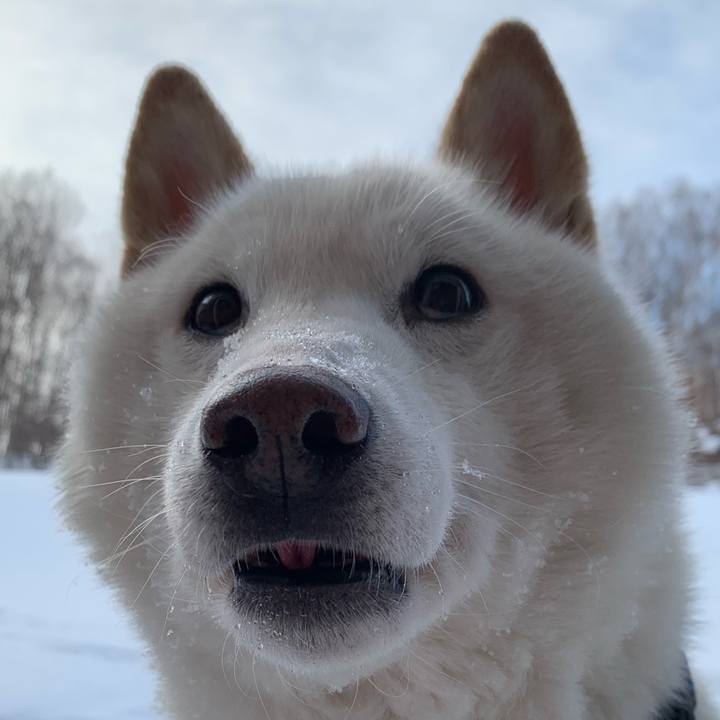 D80a909c eda2 4db8 99a5 3a98c9e9201e 1644623813414