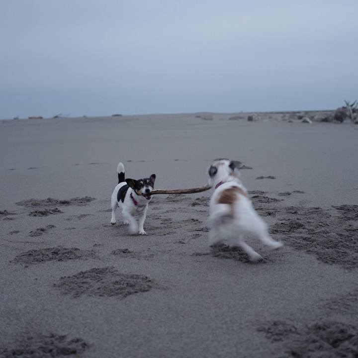 D80ac2cd c5a5 40f7 af11 2c86e432b870 1510980434495