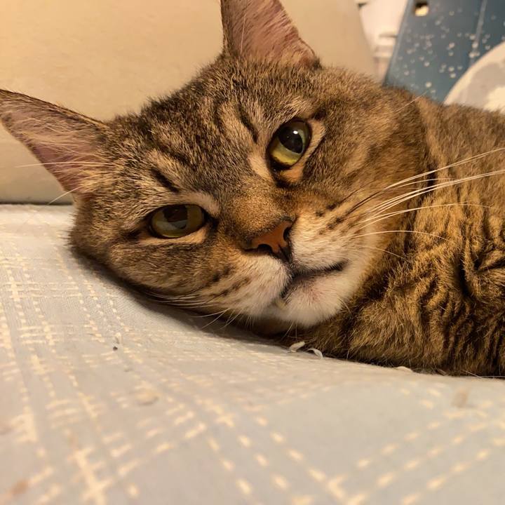 D80acbdf e2d9 49a9 a74b a809a3884ad7 1666447291546