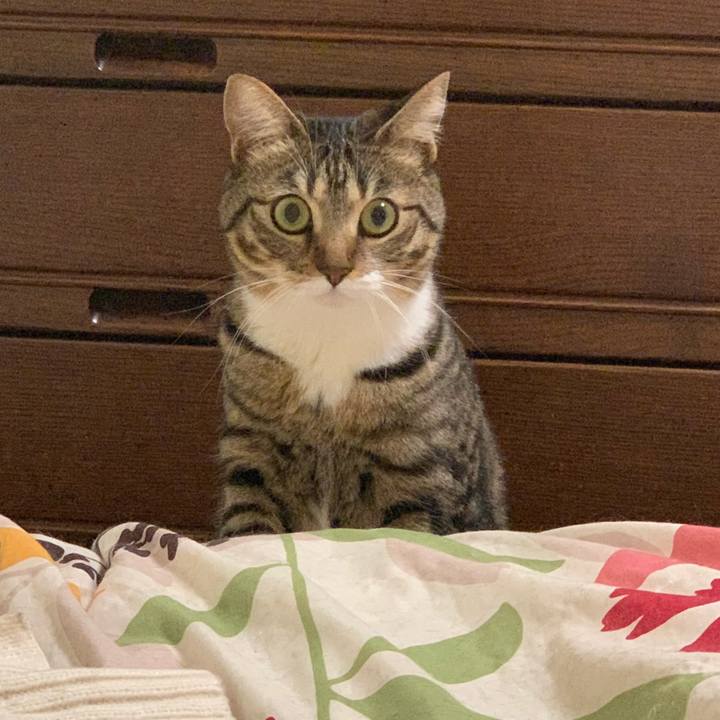 D80b07d3 ba25 41d6 969f ccabdca2b1db 1554087544838