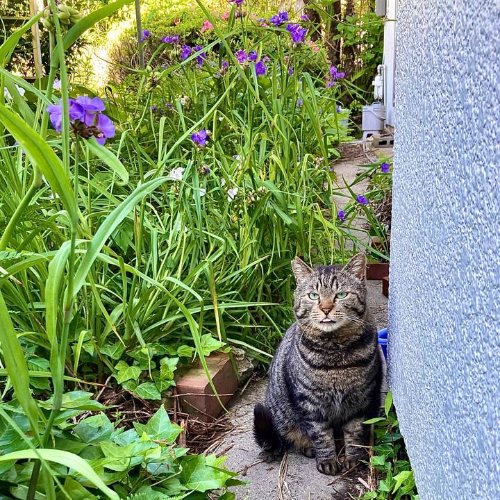 D80b1332 30a6 470d 9fee 473e1eec3139 1654384200675