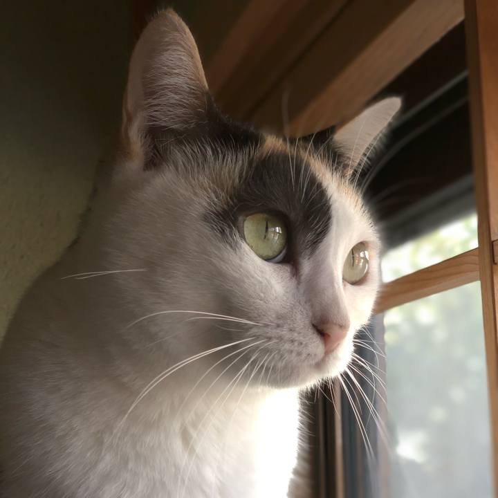 D80b1b40 9b57 40f5 b81a 9613f0595c27 1538879645043