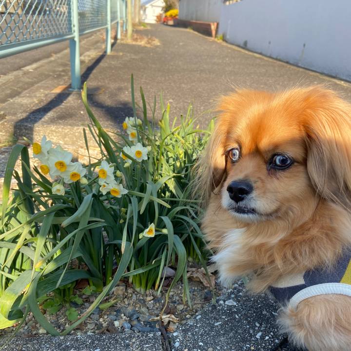 D80b5071 916d 4c66 b44b 8926550f2091 1646011691774