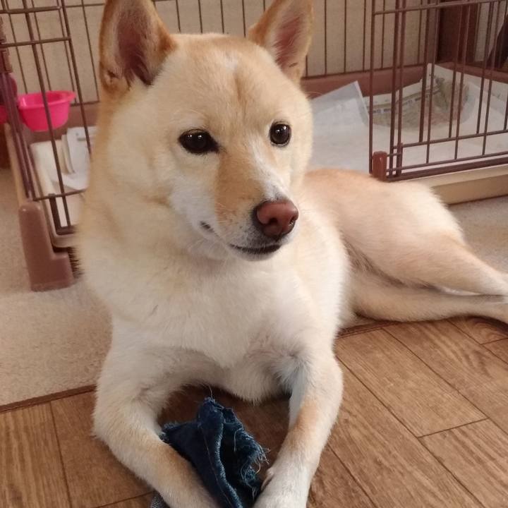 D80b5827 239b 4395 aee3 1e18f646a88e 1570227937368