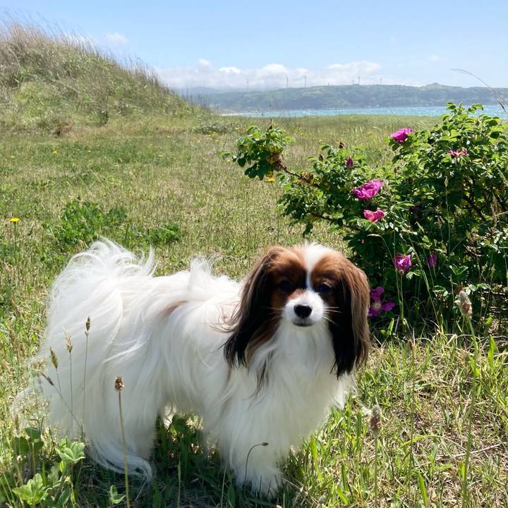 D80b89f1 5d34 4d98 8a32 096c3e5d84ea 1653813393166