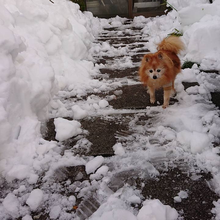 D80b95a7 5cfd 453c b31e d037d9b882cb 1671835105240